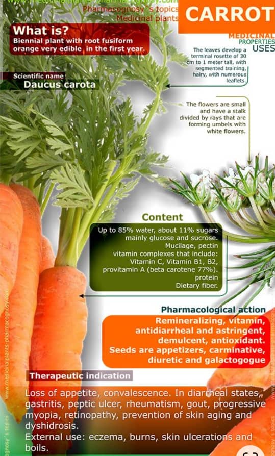 Interesting Facts about Carrots NACAGPROMAN